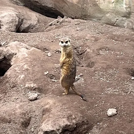 Nach Oben Fuer Zwei 民宿 *