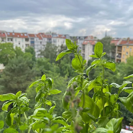 Nach Oben Fuer Zwei * 莱比锡